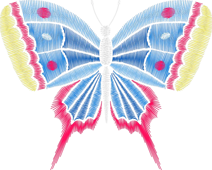 Blue and Pink Iridescent Butterfly