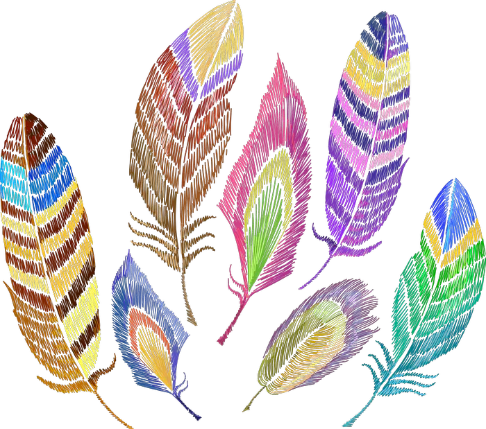 Five Multicolor Decorative Feathers