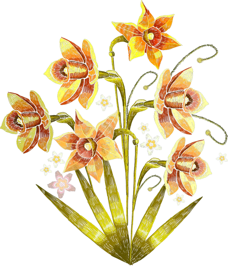 Spray of Golden Daffodils