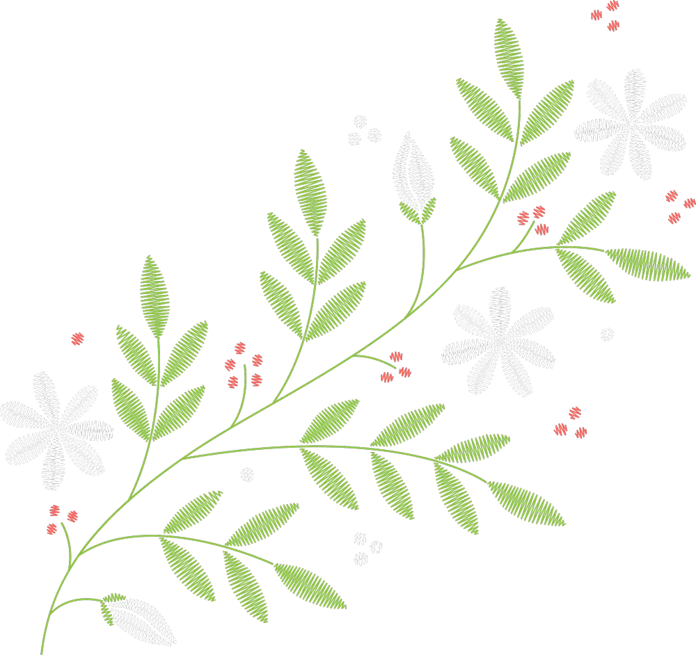 Green Leaf Branch with Pale Daisies