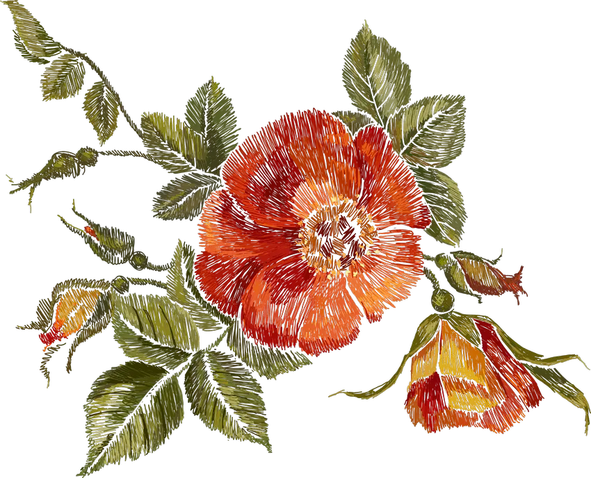 Orange Wild Rose and Buds