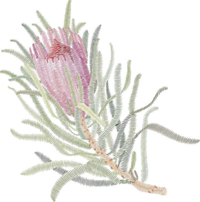 Pink Protea Branch