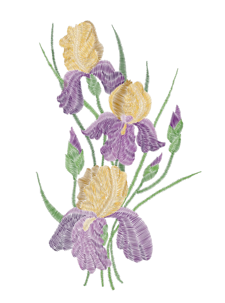 Purple and Yellow Irises