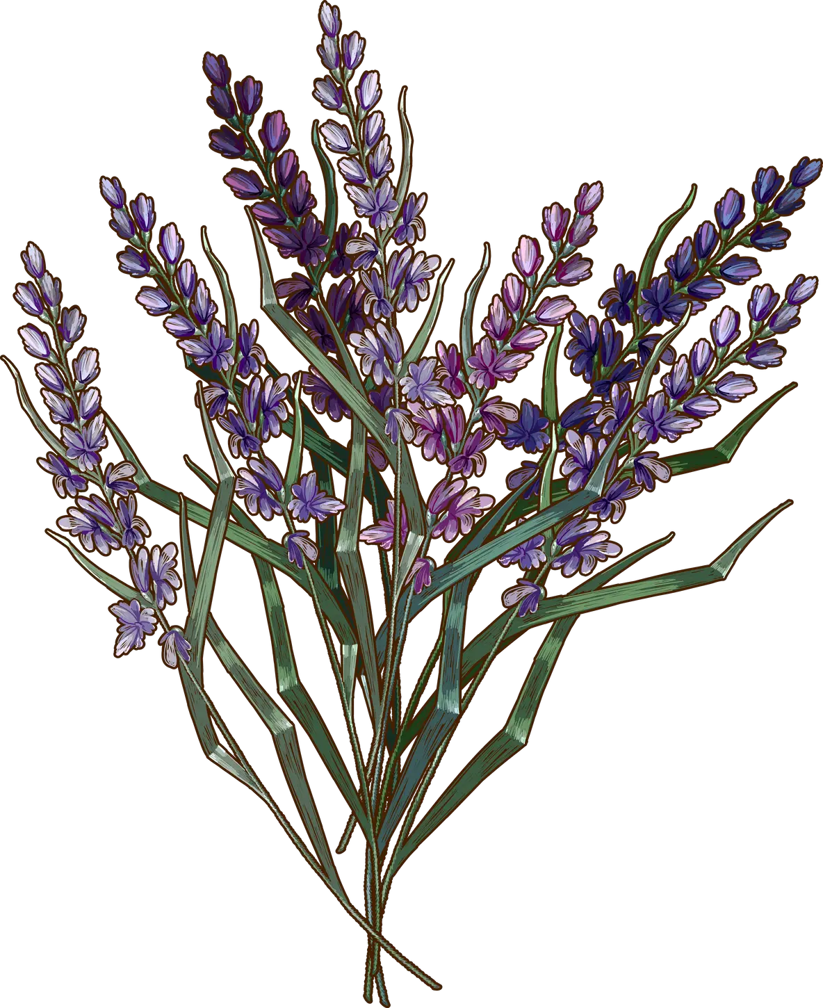 Purple Lavender Bouquet Spray