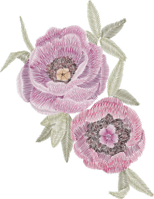 Twin Pink Poppies