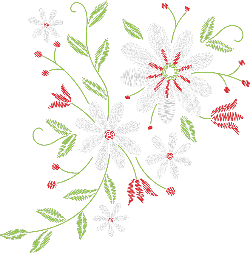 White Daisies on Curving Vine