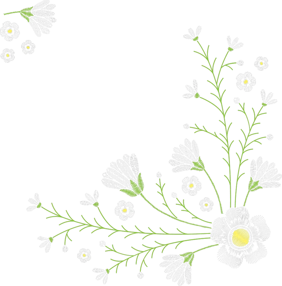 Outline Stitch